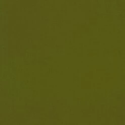 Kona® Cotton Quilting Fabric Avocado