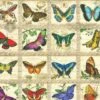 Robert Kaufman Butterflies Cotton Fabric 2 Robert Kaufman Butterflies Cotton Fabric -Michaels Fabric Sale 10737432 1