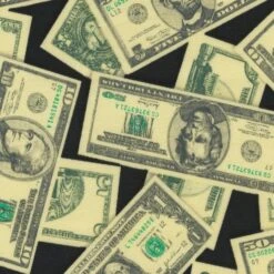 Robert Kaufman Money US Dollars Cotton Fabric