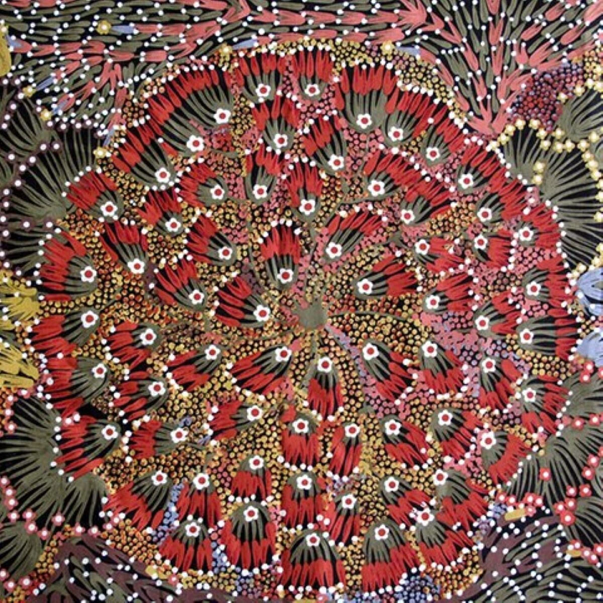 Bush Banana Australian Aboriginal Cotton Fabric By M S Textiles 4 Bush Banana Australian Aboriginal Cotton Fabric By M S Textiles - Image 2