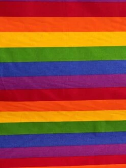 1 Yard Rainbow Stripe Poly Cotton Fabric 59/60 Inch Width -Michaels Fabric Sale 142654424362416 2