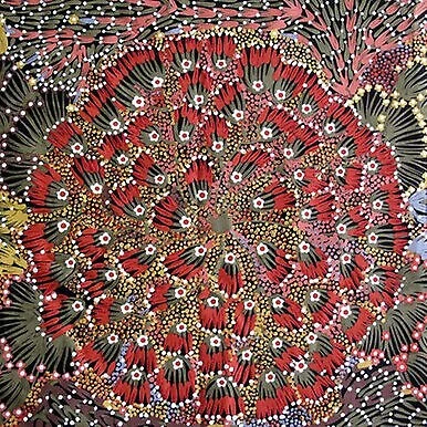 Bush Banana Australian Aboriginal Cotton Fabric By M S Textiles 5 Bush Banana Australian Aboriginal Cotton Fabric By M S Textiles - Image 3