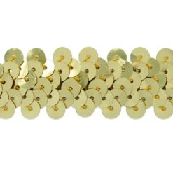 5 Yards Of 2 Row 7/8" Metallic Stretch Sequin Trim | 5 Yard Cut Green -Michaels Fabric Sale 2306308599088865888 1