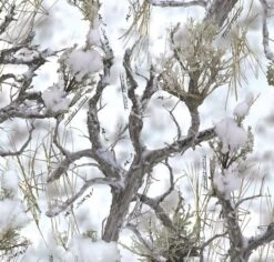 True Timber MC2 Snow Cotton Fabric