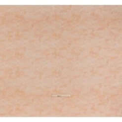 1 Yard Ballet Slipper Pink Quilting Cotton Lightweight Abstract Fresco 44 Inch Wide 21 1 Yard Ballet Slipper Pink Quilting Cotton Lightweight Abstract Fresco 44 Inch Wide -Michaels Fabric Sale 480075600461744 1