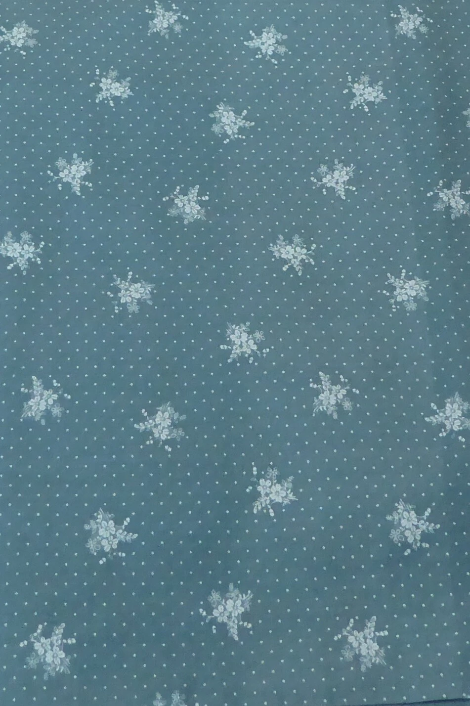 GENERIC Aqua With White Dots And Flowers By 66 Inches Long 3 GENERIC Aqua With White Dots And Flowers By 66 Inches Long