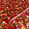 1 Yard Apple Print Poly Cotton Fabric 58" Wide Soft Material For Apparel & Accessories White -Michaels Fabric Sale 553652613162416
