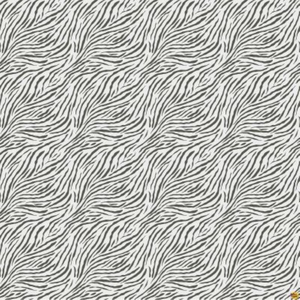 Baby Safari Zebra Stripes Childrens Cotton Fabric By Northcott 4 Baby Safari Zebra Stripes Childrens Cotton Fabric By Northcott - Image 2